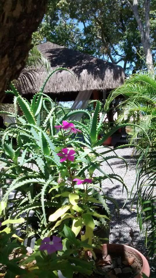 Chale "Oasis" Villa Praia do Forte Bagian luar foto
