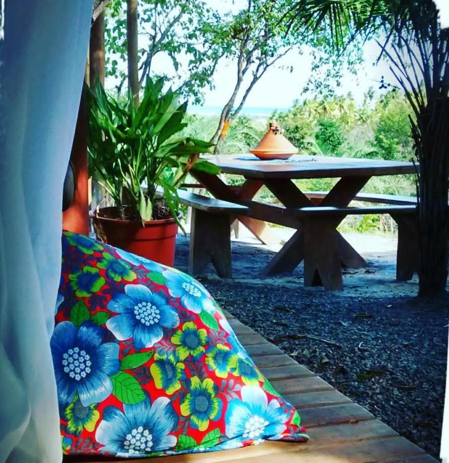 Chale "Oasis" Villa Praia do Forte Bagian luar foto